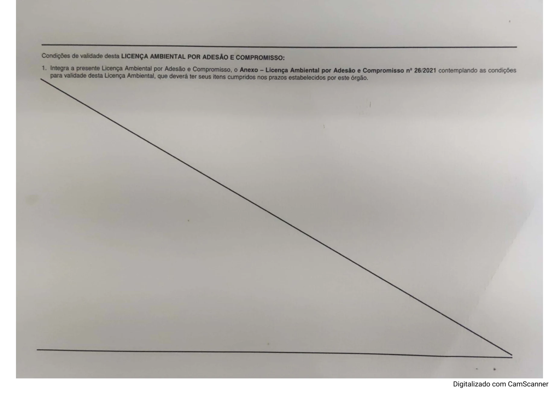 Second page of Manipula municipal environmental license describing the conditions attached to its validity