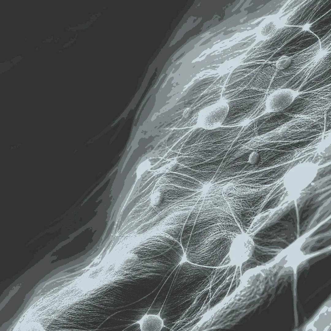 Abstract blue pathways connecting cellular nodes